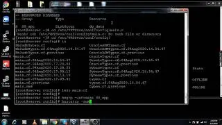14. (VCS) Veritas Cluster Server Freeze and Unfreeze