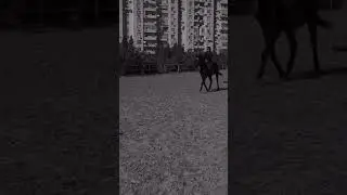 #аллабрулетова