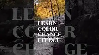 learn color change effect in just a minute | how to change colors in the video