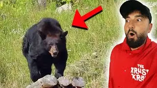WE CAME FACE TO FACE WITH A BEAR