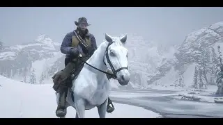 Red Dead Redemption 2 - Приручение арабского скакуна