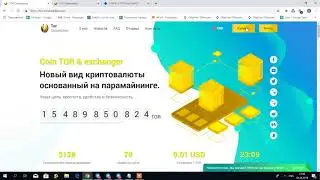 #TORCorporation. Обзор проекта. Заработок на парамайнинге