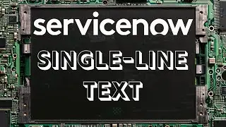 How to Create a Single Line Text Variable in Servicenow - Textbox String - 2024 - Polaris - Back End