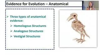 Evidence for Evolution