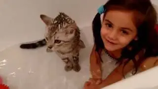 Кот.  Моем котика. ***  Cat. My cat.
