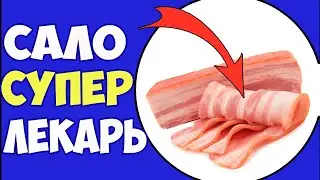 5 МИФОВ Про САЛО! Не думала, что всё так просто!