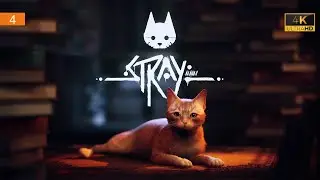 [4K] Stray ➤ Part 4 ➤ Канализация | Робовейник ➤ ПРОХОЖДЕНИЕ НА ПК БЕЗ КОММЕНТАРИЕВ