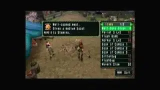 [Monster Hunter Freedom] No Save & No Damage Play 11/14