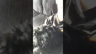 This is lucky because I got to meet Rocky