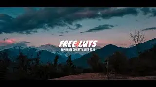 The 5 Best Cinematic LUTs 2021