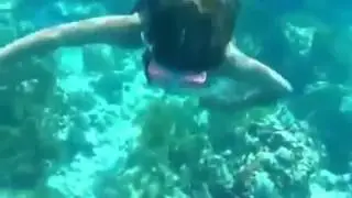 Scuba Diving   Underwater Girl Snorkeling
