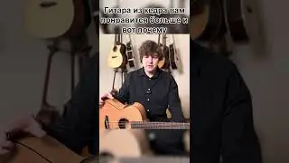 Гитара из кедра ЗВУЧИТ ПРИЯТНЕЕ, чем из ели, 🤔почему?