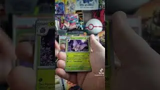 Nächster Doppelhit aus 151 😍#pokemon #pokemoncards #pokemoncommunity #pokémon #pokemon151 #nintendo