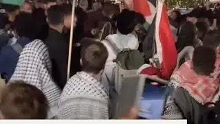 Polizeigewalt bei Berliner Gaza-Demo
