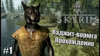 The Elder Scroll V Skyrim | Каджит ворюга в Скайриме #1