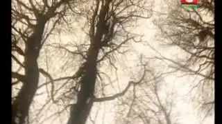 Нейро Дюбель - Каляда