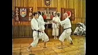 Семинар по Каратэ Фудокан - Илья Йорга - 8 Дан в Кировограде 1996 год - часть 1