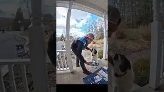 Delivery Drivers VS Fur Babies🚙🐕🙀