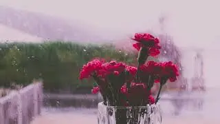 GENTLE NIGHT RAIN, Rain Sounds to Sleep, Study, Relax, Reduce Stress, help insomnia