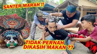 SANTER GAK PERNAH DIKASIH MAKAN ?? Wow efeknya jadi gini..