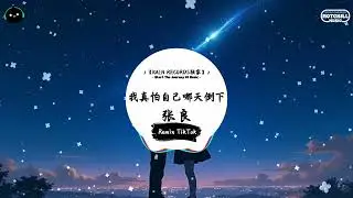 我真怕自己哪天倒下 (抖音DJ版) - 张良『我真怕自己老了病了沒人會牽掛，我真怕自己拼命賺錢養不起全家。』♪ || 抖音最热门的背景音乐 | 抖音 Douyin | TikTok ♪