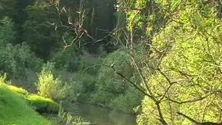 MOV005