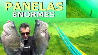Pesca Sub - Sonho de Pescador  [ FAMA SUB ] #pescasub #rioparaná #fishing .