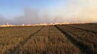 Не буде старту no-till в цьому році