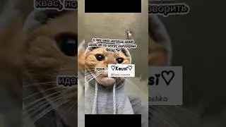 #s_h_o_r_t