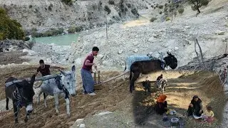 🌾A documentary about nomadic life in Iran: Agriculture and the traditions and culture of Iran nomads