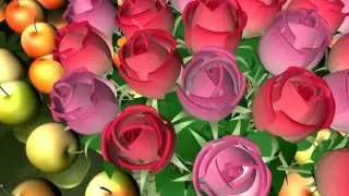 Футаж Яблоки и розы