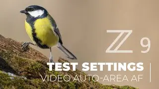 Test ostření Nikon Z9 - Video Auto-area AF