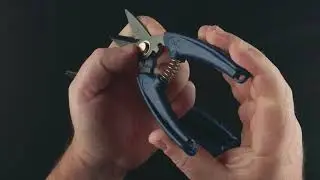 Toit Scissors - Dual Curvature