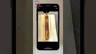 Brace yourself for the mind-blowing features of our Weld App!