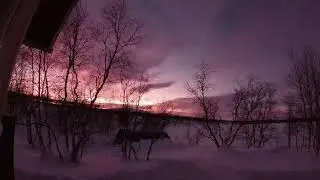Ark Patrol - Let go ASMR MusicHygge
