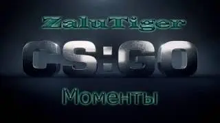 Боже , как же он ебошит | Counter-Strike : Global Offensive