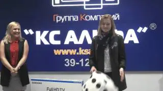 Розыгрыш призов