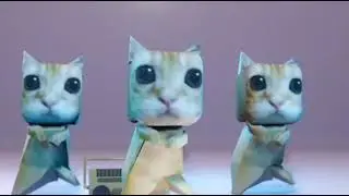 котики флексят под фонк шаблон для мемов
