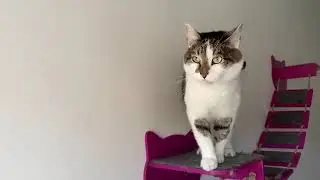 Маленькие Друзья с большим ❤️