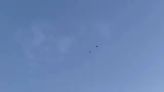 Голуби Tauben Pigeons Битаголовые  Таджикские