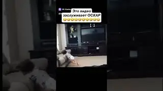 дайте Оскар!