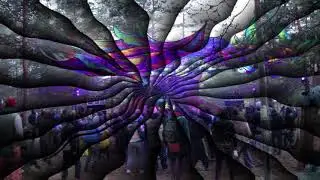 systo 2018 - live - main - somatik