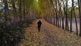||vLog|| Sonbahar'in Fotoğrafını Çektik... Sari ve Kahvenin tonları....