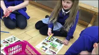 Syniadau Mawr Cymru   Y Criw Mentrus   Taro Hoelen Ar Ei Phen!