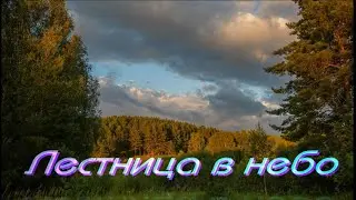 Елена Заломина.  Лестница в небо.