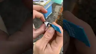 Карника. Пчеломатка. Мечу маток опалиткой.