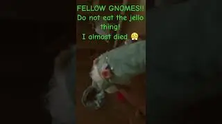 FELLOW GNOME!!!!! DONT EAT JELLY THING! #gnomes