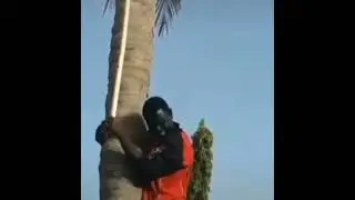 Перезагрузка