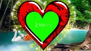 Wedding Green background screen effect HD video 14  Alka Yagnik and Kumar Sanu