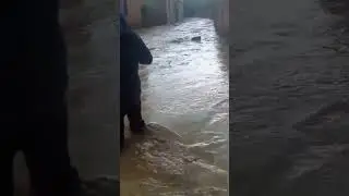 сел дар минтакахо